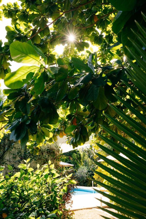 White Paradise Zanzibar Pongwe Eksteriør billede