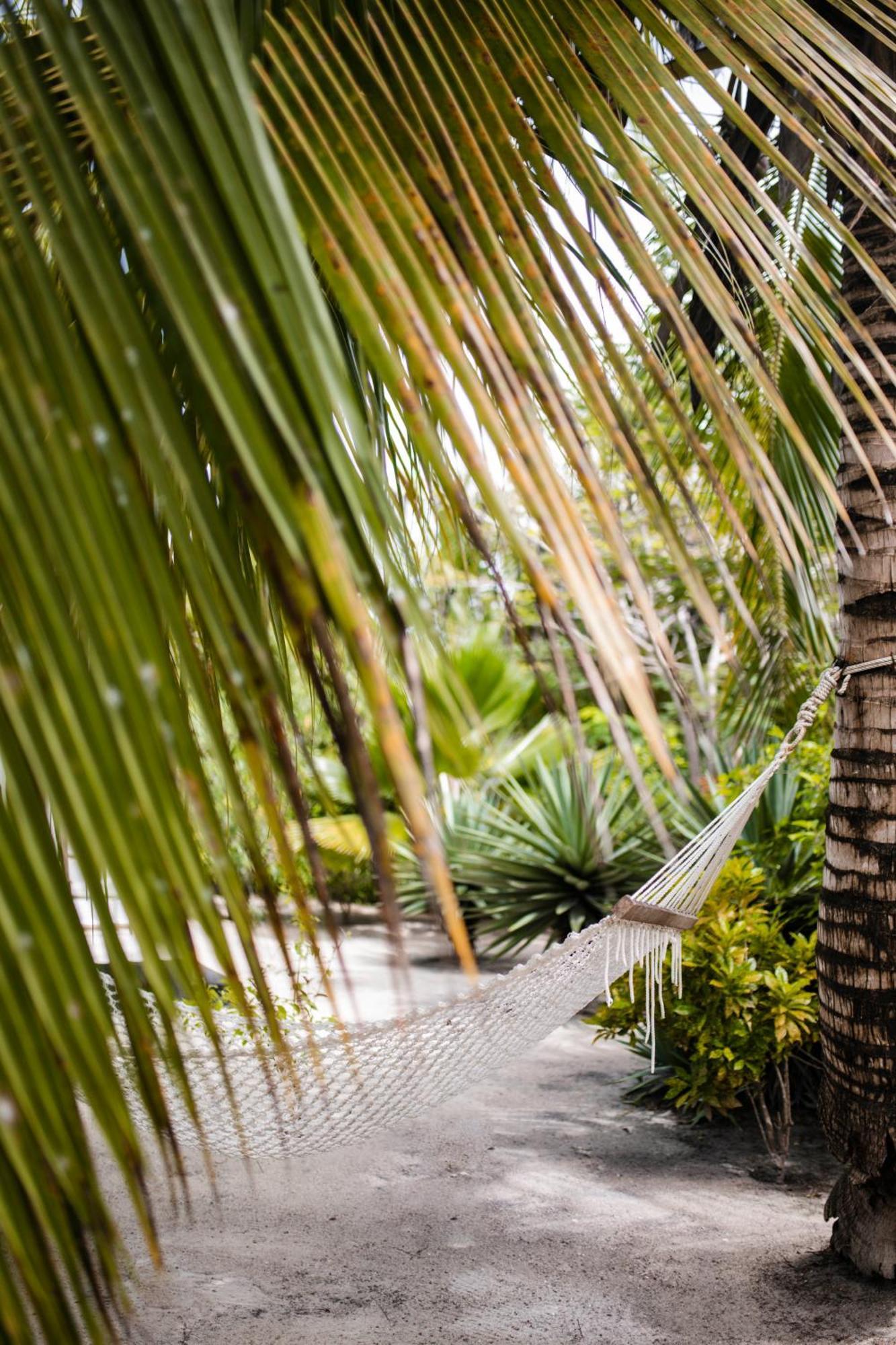 White Paradise Zanzibar Pongwe Eksteriør billede