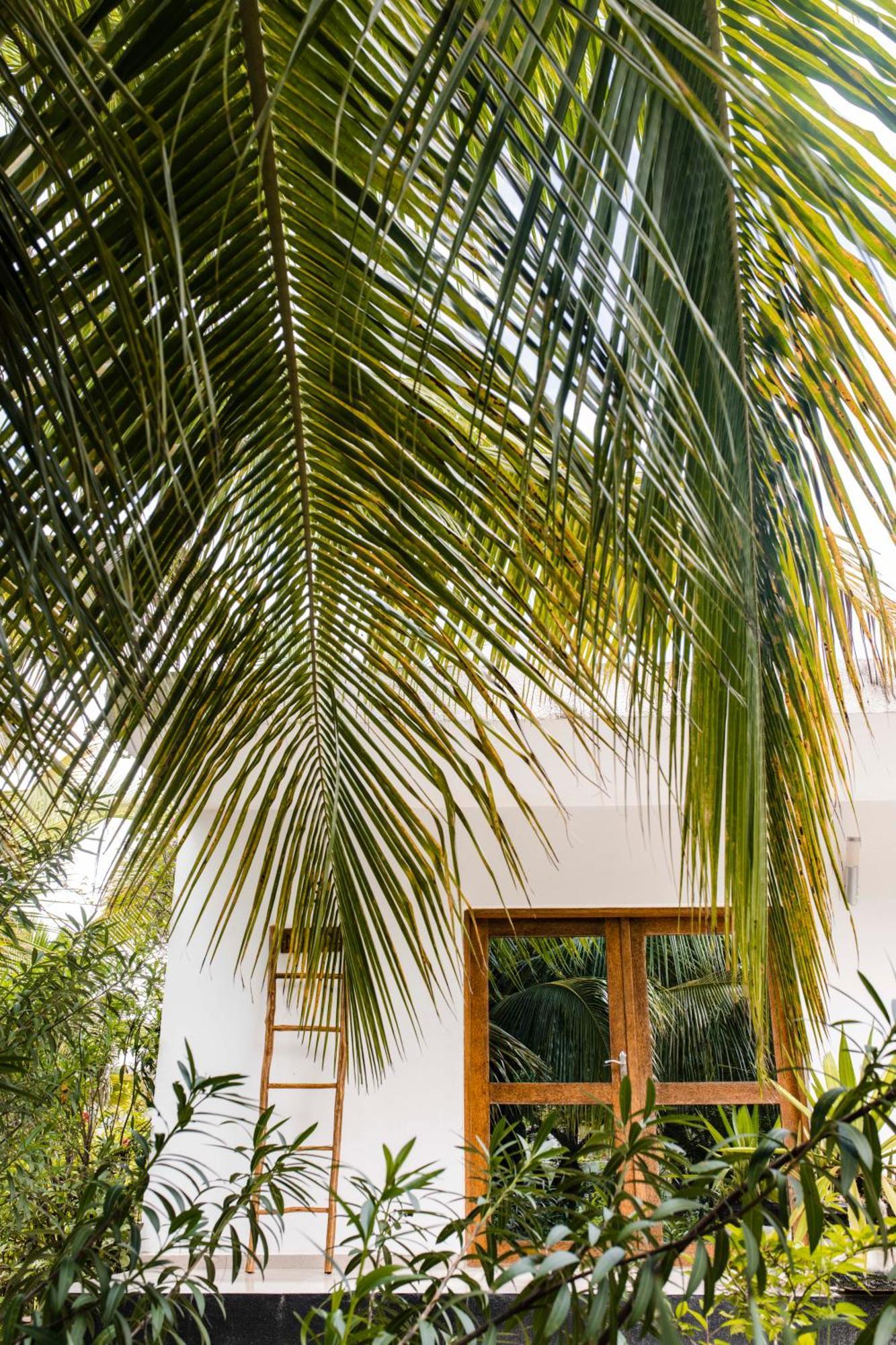 White Paradise Zanzibar Pongwe Eksteriør billede