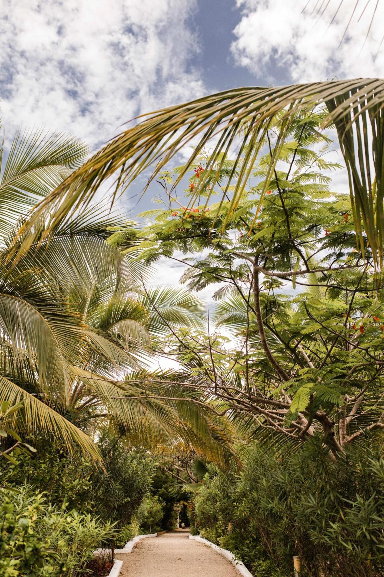 White Paradise Zanzibar Pongwe Eksteriør billede