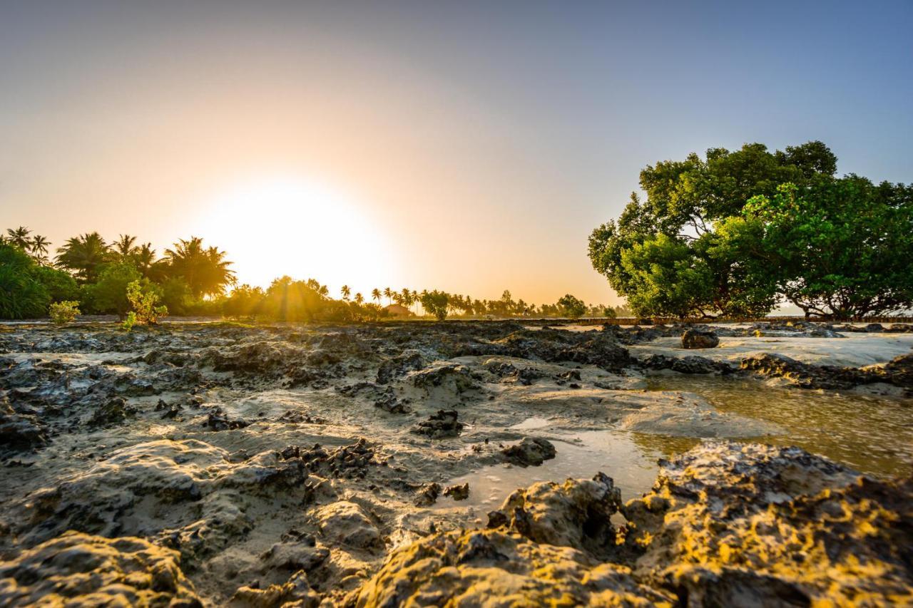 White Paradise Zanzibar Pongwe Eksteriør billede